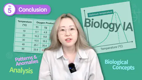 IB Biology IA: How to Nail the Conclusion for Top Marks